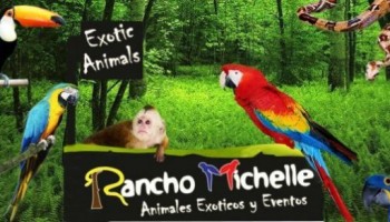 Rancho Michelle
