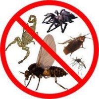 Varela Pest Control